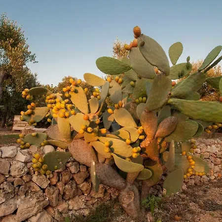 Le Querce Di Volito Ferienhaus Patù