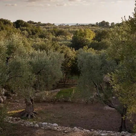 Ferienhaus Le Querce Di Volito